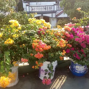 Accommodatie bij particulieren Heavenly, Kochi